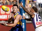 Star Eagle all class during worrying concussion battle
