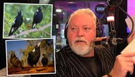 Kyle Sandilands calls WA magpie deaths ‘a national tragedy’