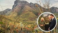 Aussie native orchid wins gold at world-famous flower show