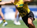 Tigers to ‘play the long game’ with returning star