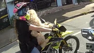 Cop left speechless after shocking discovery on road
