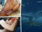 Jackass star BITTEN by shark as stunt goes wrong