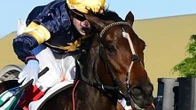 Eagle Farm tips: Tiara history in Tofane’s favour