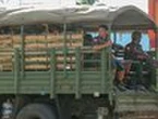 Myanmar security forces 'seize arms cache'
