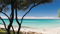 WA holiday spot one of the most pet-friendly for travellers