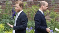 Prince Harry’s bold royal move and nod to Princess Diana