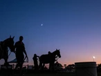 Judgment day for $5bn Rosehill plan