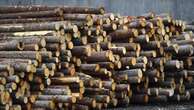 Trump orders new tariff probe into US lumber imports