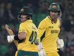 Epic England win has Australian players buzzing: Carey