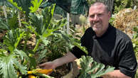 Homegrown food dished up at Mandurah patch to plate dinner