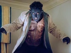 Alan Cumming teases possible Pedro Pascal fight scene in Avengers: Doomsday