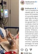 Bindi Irwin 'on road to recovery' after having appendix and 14 endometriosis lesions removed