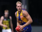 Eagles skipper Allen finding his happiness in defence