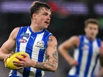 Roos defy ladder position to force a draw with Brisbane