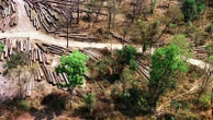 US ends Cambodia aid over deforestation
