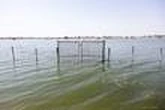 Les riverains du lac Tchad pris en étau entre Boko Haram et la montée des eaux