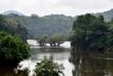 Le Gabon rétribué pour la protection de ses forêts