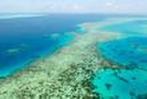 La Grande Barrière de corail est « en danger » pour l’Unesco, l’Australie prête à contester