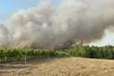 Incendies en Europe : la chaleur, les vents et la sécheresse compliquent le travail des pompiers dans plusieurs pays