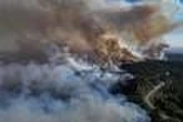 En Syrie, des incendies brûlent 10 000 hectares dans la province de Lattaquié