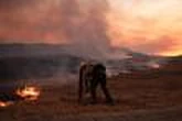 La Californie touchée par un important incendie : le « Madre Fire » a ravagé près de 213 km2 en 24 heures