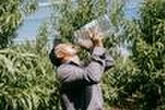 Canicule : un dôme de chaleur s’installe sur la France pour plusieurs jours