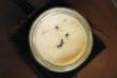 Quand la fermentation du yaourt devient une affaire de fourmis