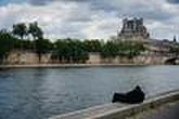Paris veut doter la Seine d’une personnalité juridique pour mieux protéger le fleuve