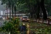 En images, typhon Wipha : de nombreux arbres déracinés et plusieurs échafaudages effondrés à Hongkong
