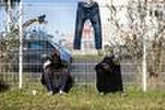 Plus de 3 200 jeunes étrangers en recours dont près d’un millier à la rue, selon des associations