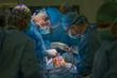 Un cœur déjà greffé… réutilisé pour un second patient