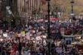 Aux Etats-Unis, des milliers de personnes inquiètes pour « l’Etat de droit » manifestent contre l’administration Trump