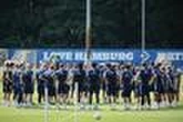 Le Hambourg SV, ancienne gloire du football allemand, retrouve les terrains de Bundesliga