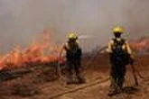 Incendie en Californie : les pompiers progressent face au Madre Fire, plus de 32 500 hectares déjà ravagés