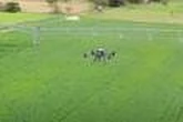 La recherche en agriculture recourt aux drones et à l’IA pour faire face au changement climatique