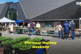 Byliśmy na miejscu! Majowy Kiermasz Ogrodniczy 2025 w Bydgoszczy już za nami! Rośliny, inspiracje i tłum…