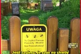 warto tu zajrzeć! Wiosna w Ogrodzie Botanicznym UKW, czyli spacer wśród zieleni