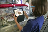 Improving maternity services would save 1,000 babies a year, say MPs