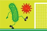 How Bacteria Use CRISPR to Vaccinate against Viruses