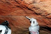 Ancient cave paintings can harbor human DNA for millennia, scientists find