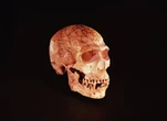 Neanderthals may have been just as smart as modern human peers