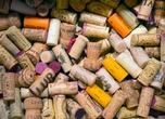 Scientists pop the cork on the hidden chemistry inside wine bottles