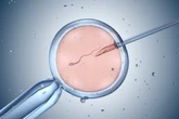 Report of gene-edited human embryos sparks worries about the technology’s future uses