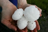 A giant hailstorm just killed an emu at a Missouri zoo