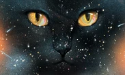 Poem: ‘The Soliloquy of Schrödinger’s Cat’