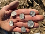 ‘Spectacular’ Viking coin hoard discovery is likely the largest in history