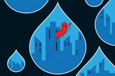 Microbe ‘cities’ may solve a key ocean mystery