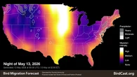 Radar picks up on bird migration. But how do we tell birds and storms apart?