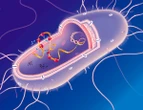 Scientists use AI to test whether life can run on only 19 amino acids