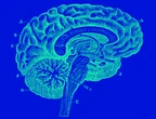 Are the roots of consciousness hidden in the ancient deep brain?